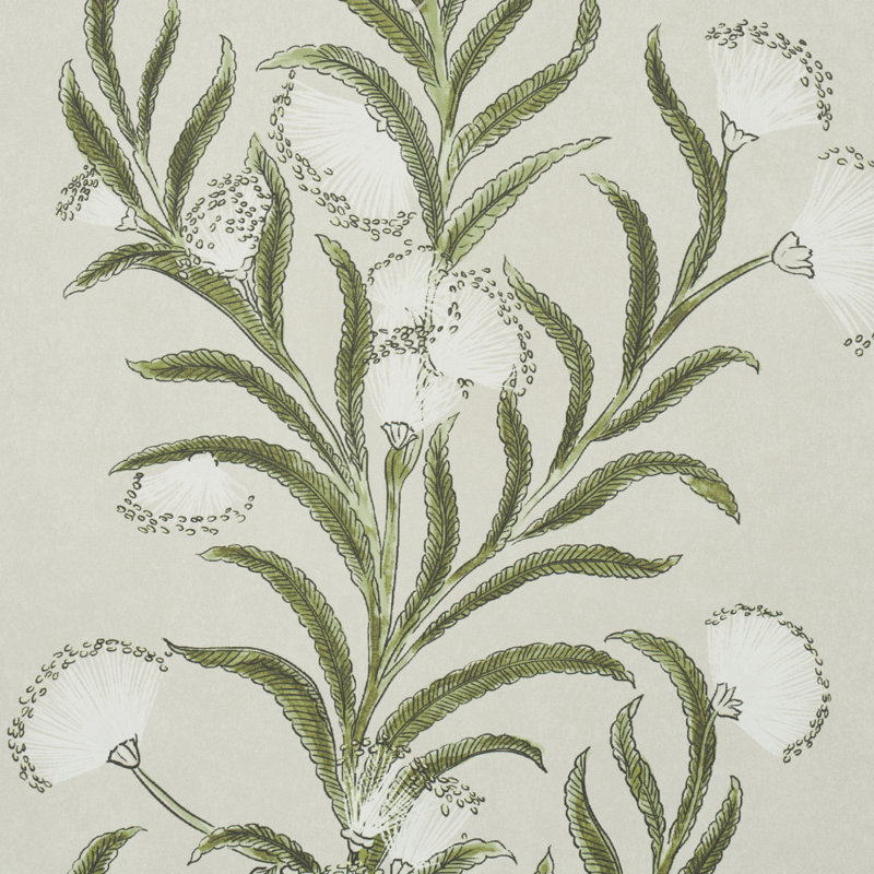 Schumacher x Celerie Kemble Tasmanian Mimosa Wallpaper, Ivory/Green