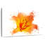 Harnek lys abstrait-108912559