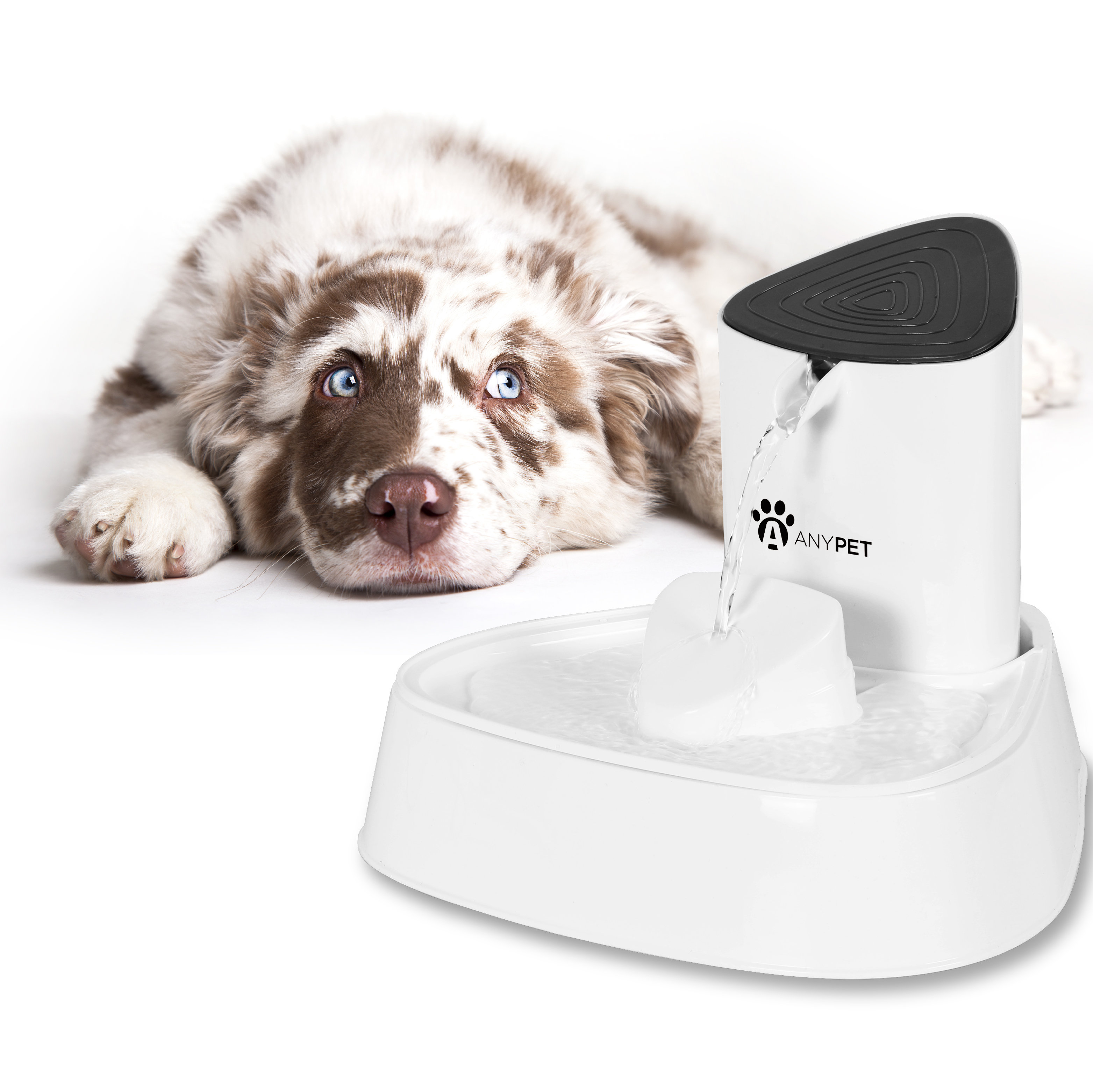 MIFXIN Pet Automatic Water Dish & Reviews