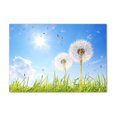Dandelions - Wrapped Canvas Print