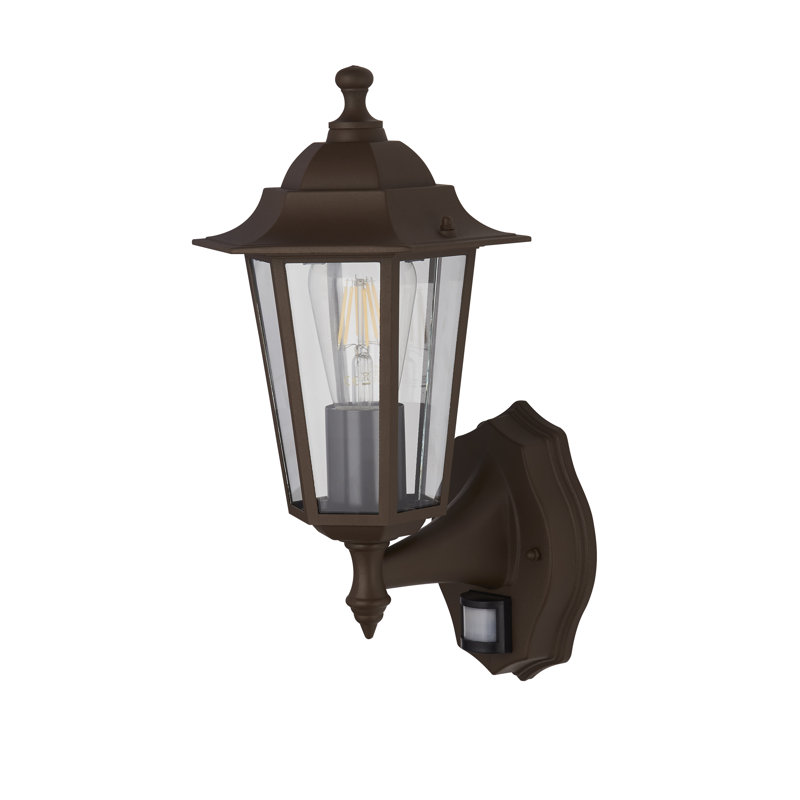 Naber 37cm H Outdoor Wall Lantern, Bronze