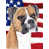Beige/White Boxer