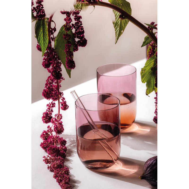 Villeroy & Boch Like Grape Highball/Tumbler Pair