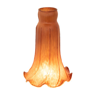 Novelty Lamp Shade