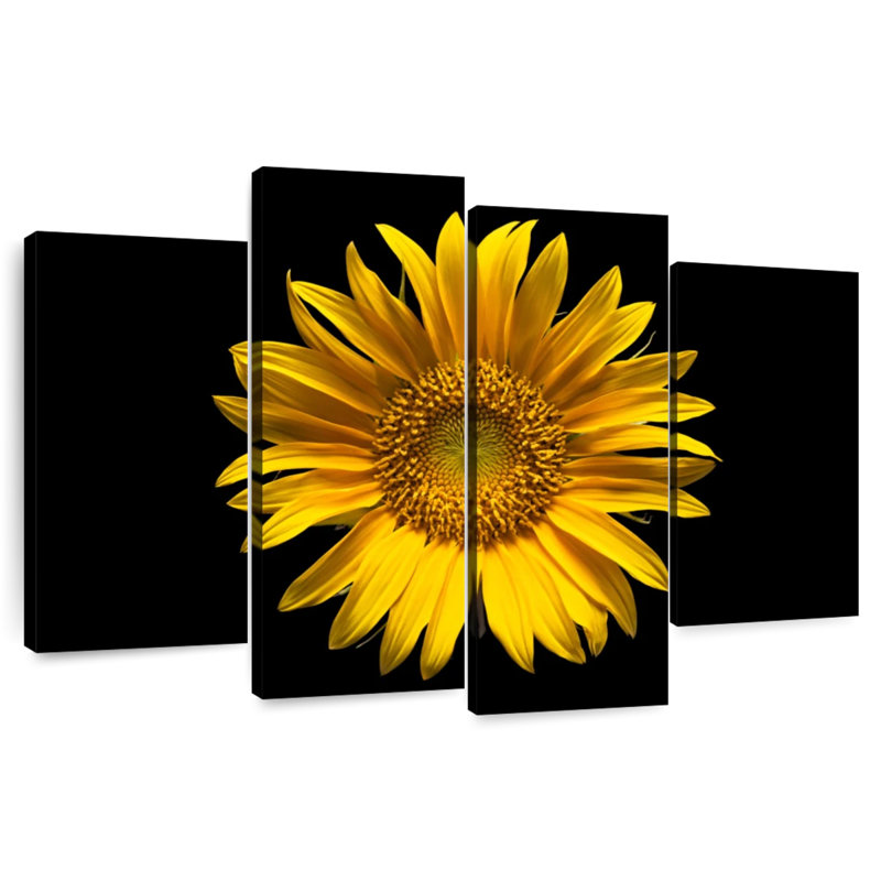 Harnek tournesol sur fond noir, H 22 po x l 36 po