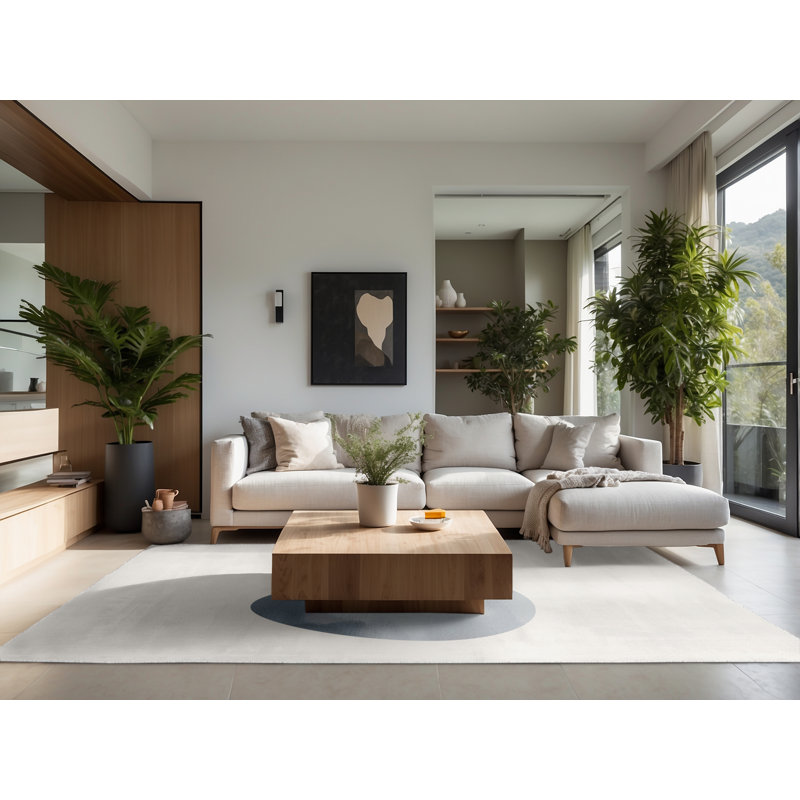 Soft Plush Farris Easter Modern & Contemporary Abstract Area Rug in Beige – White Binding, 5x8