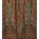 Classics Fabric