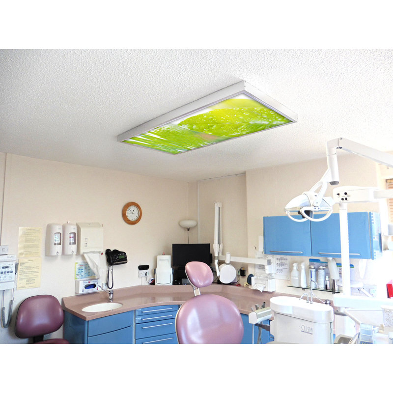 Tree Classroom Fluorescent Light Covers for Ceiling Lights - For 2x4 Light Fixture - by Octo Lights