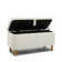 Dayvian 39.3" Storage Ottoman Bench for End of Bed
