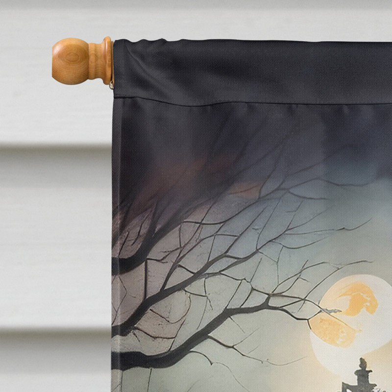 Double Sided 40'' H x 28'' W Polyester Halloween House Flag