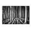 «Ghost Forest», reproduction d'impression sur toile tendue-23536303-89159985
