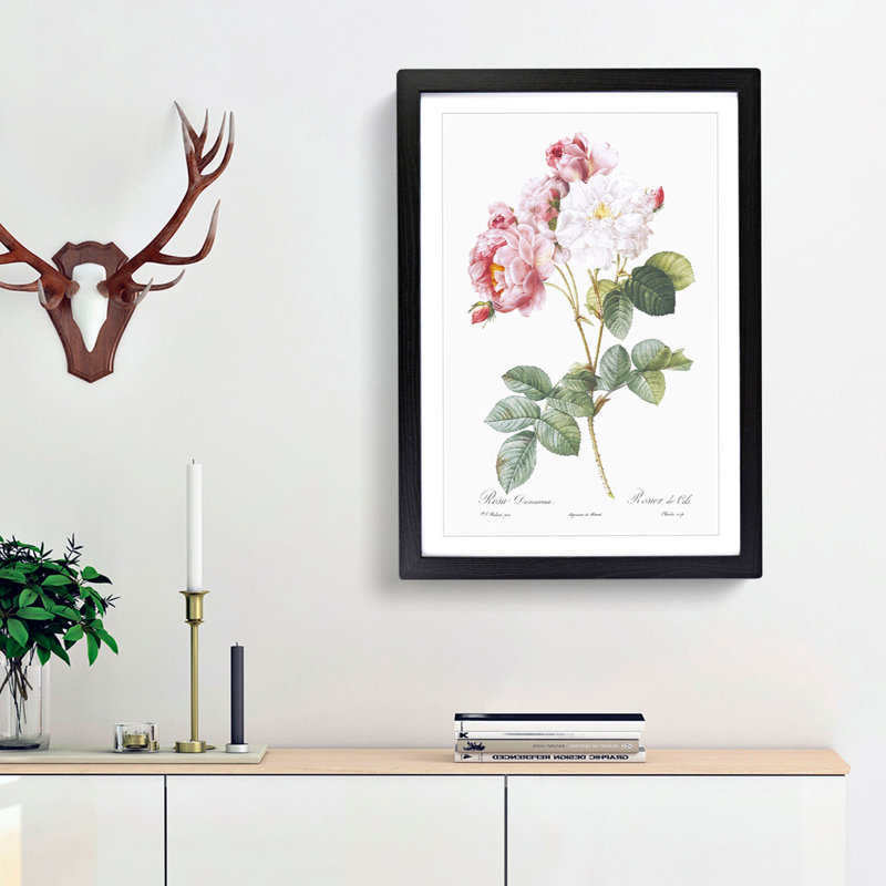 Damask Roses in Pink by Pierre-Joseph Redoute - Picture Frame Painting Print, 48cm H x 36cm W x 2cm D, Black Framed
