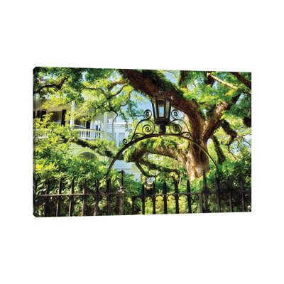 Giant Ivy Covered Oak Tree, Historic District, Charleston, South Carolina by George Oze - Wrapped Canvas Photograph