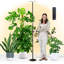 85 po de hauteur pour les grandes plantes d'intérieur, 60W de lumière à spectre complet avec minuterie 4/8 / 12H et télécommande