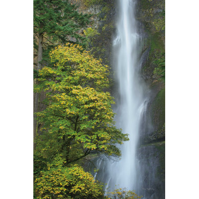 Multnomah Falls - couleur