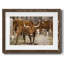 Longhorns-162033397-162033396
