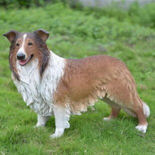 Sitting Border Collie Puppy Statue