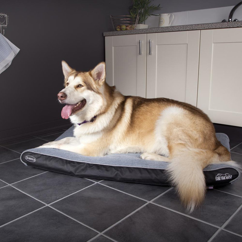 Chateau Orthopedic Polyester Pet Bed, 8cm H x 100cm W x 70cm D, Dove
