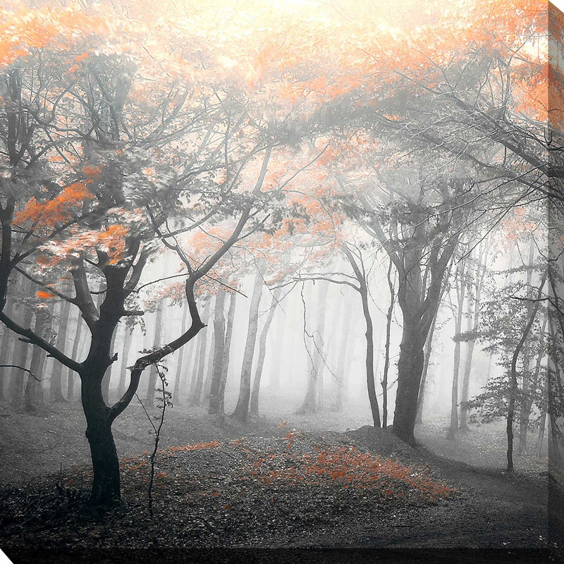 «Autumn Woods I» par Photoinc Studio - photographie, H 36 po x l 36 po x P 1,5 po, Toile tendue