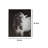 Arc Modern & Contemporary Painting Print