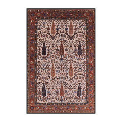 Oriental Indoor Rug