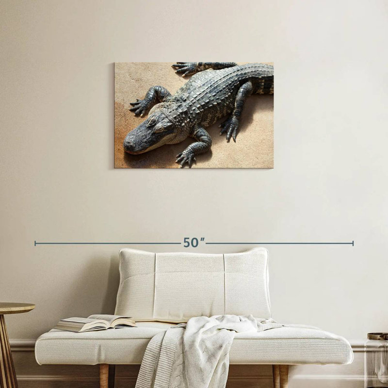 Alligator, 20" H x 30" W