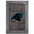 Carolina Panthers