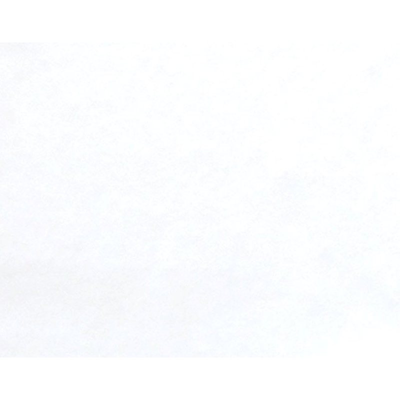  Rouleau de papier peint L 33 pi x l 20,5 po Unpast Liner