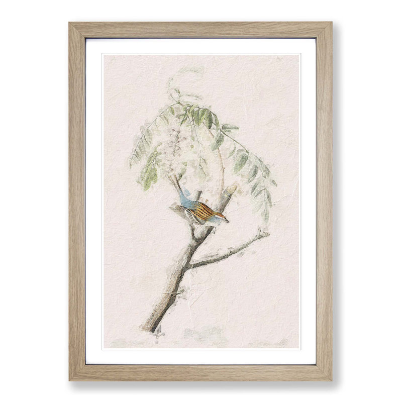 Chipping Sparrow Bird by John Audubon - Picture Frame Painting Print, Oak Framed, 65cm H x 48cm W x 2cm D