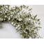 24" Spring Eucalyptus Front Door Wreath