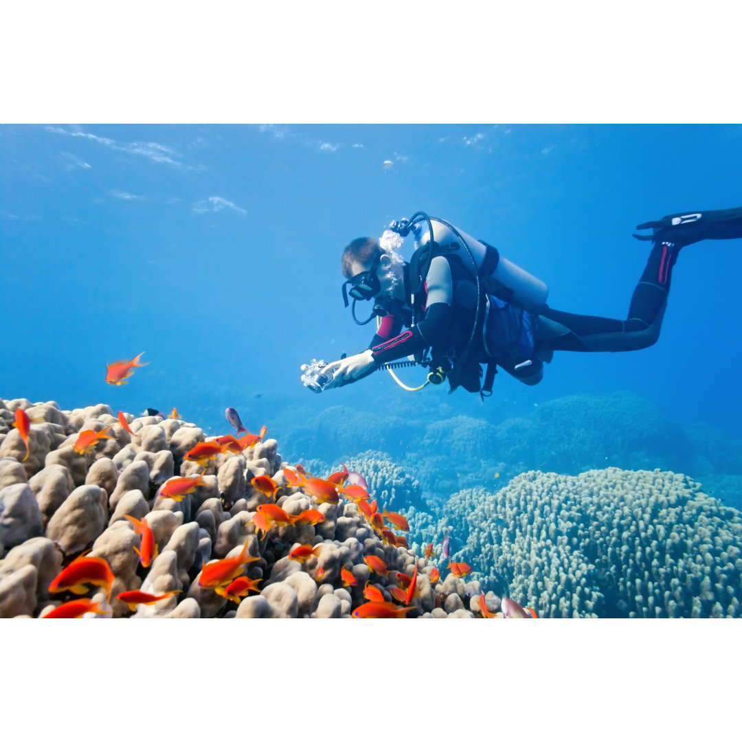 Leinwandbild Photographer On The Coral Reef