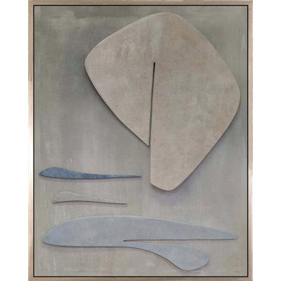 Organic Abstractions - reproduction de cadre flottant sur toile
