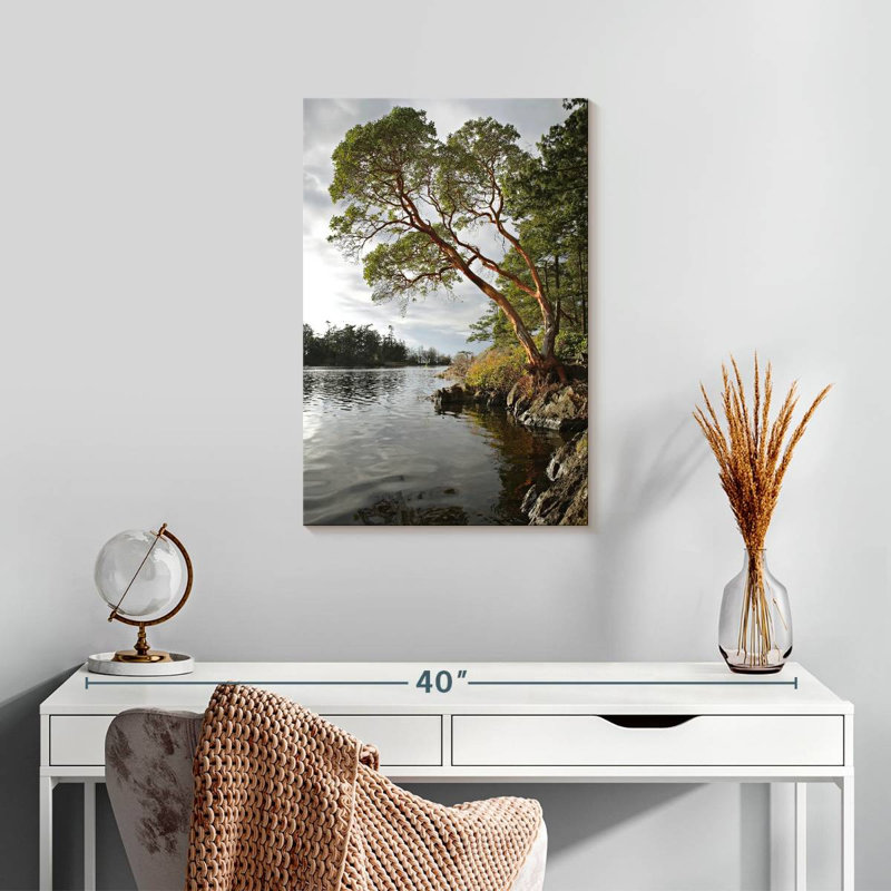 Arbousier Harnek au bord de l'eau, H 24 po x l 16 po