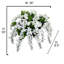Fleurs et tiges de glycine-479851203