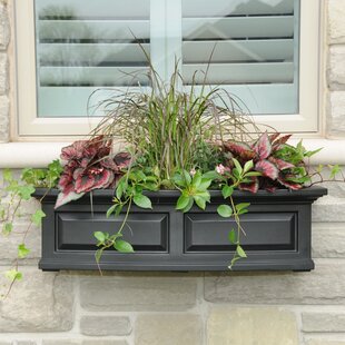 7+ Wood Window Box