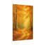 Aaroon Single Picture Frame Print on Canvas-1628536266