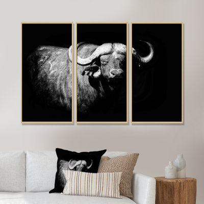 Portrait monochrome de Buffalo I - cadre flottant 3 pièces, impression sur toile
