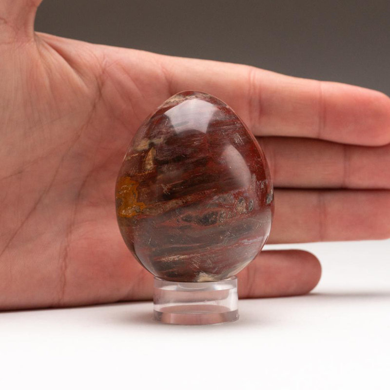 Petrified Wood Egg, 2" H x 1.75" W x 1.75" D, Orange/Yellow/Brown