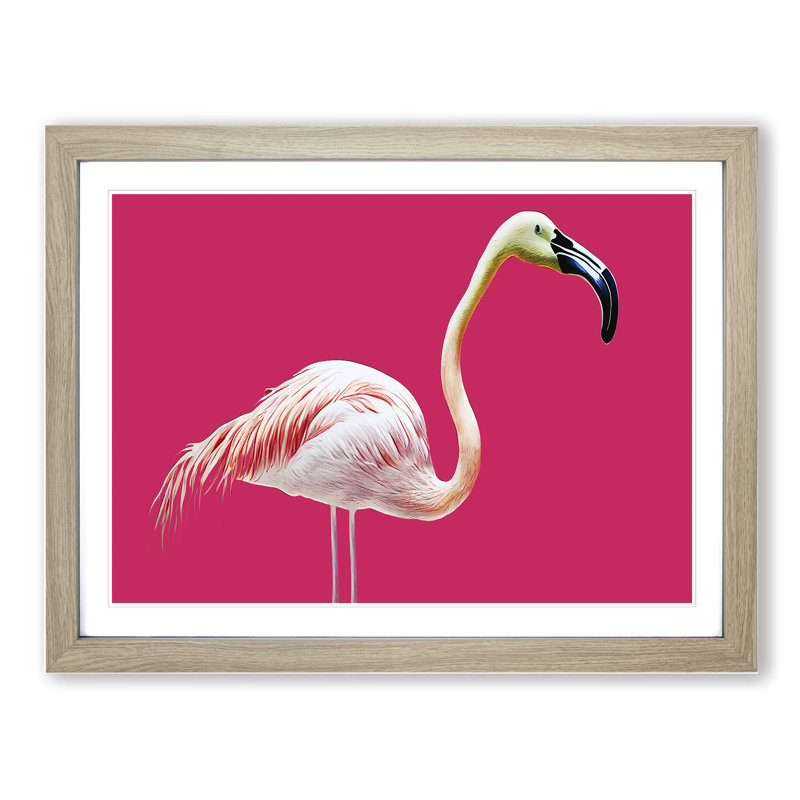 Tranquil Flamingo - Single Picture Frame Print, 46cm H x 64cm W x 2cm D, Oak Framed