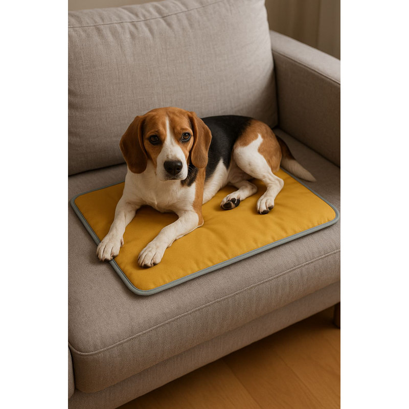 Lit pour animal de compagnie, L 23,6 po x l 15,7 po, Vert