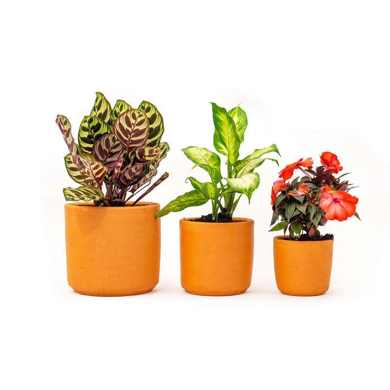 Karley Handmade Pot Planter