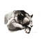 Cosy Bear by Soo Beng Lim - Wrapped Canvas Painting-318337227