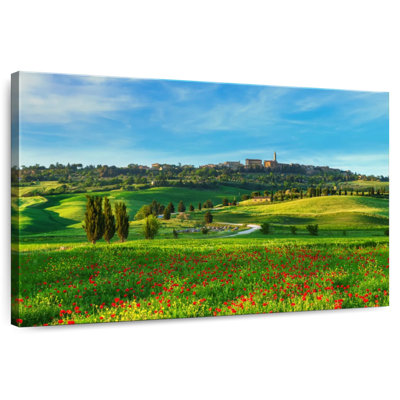 Nicci Pienza Poppy Fields