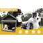 Chenil pour chien gris avec intérieur isolé