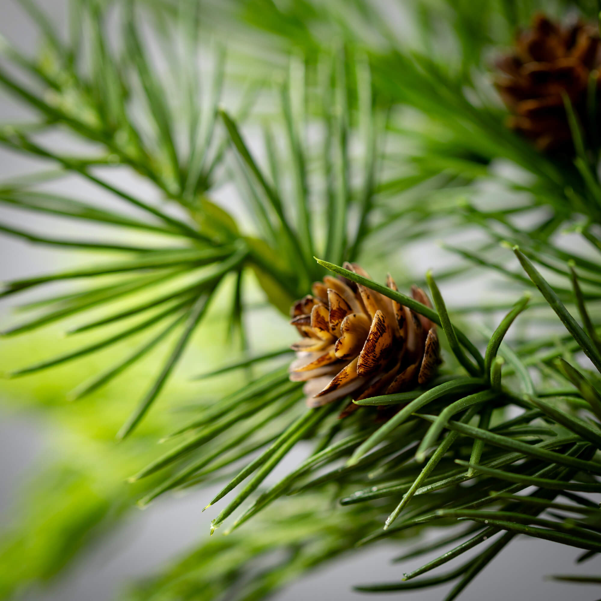 32" Artificial Lush Green Cedar Christmas Spray,