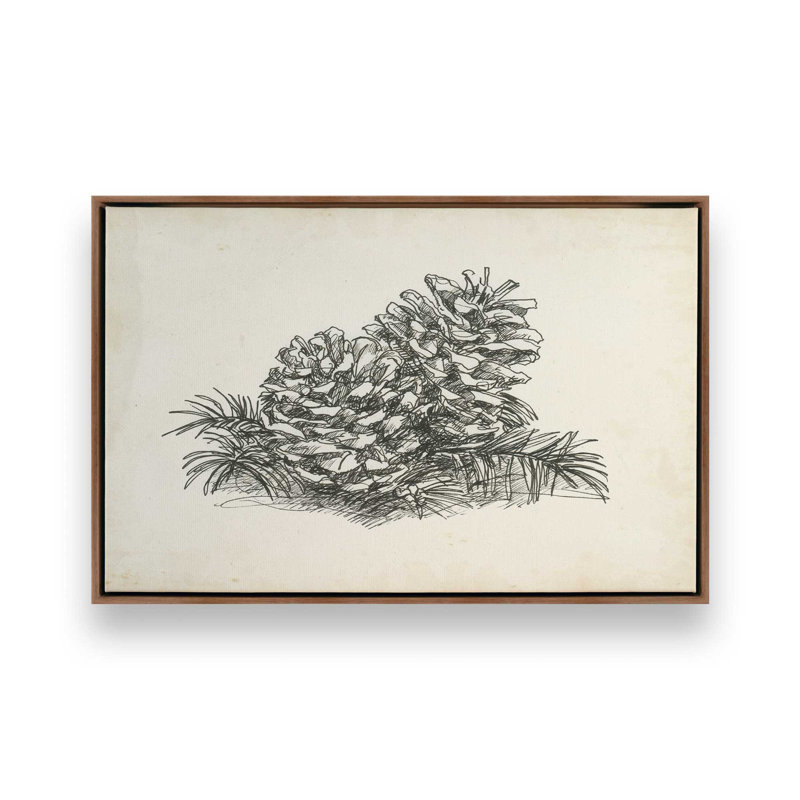 «Christmas Conifers I» par Ethan Harper, reproduction d'art sur toile, H 8 po x l 12 po, Brun