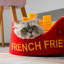 Lit pour chat fermé de style frites, maison-grotte créative pour animal de compagnie avec coussin moelleux épais, nid douillet pour chats et petits chiens