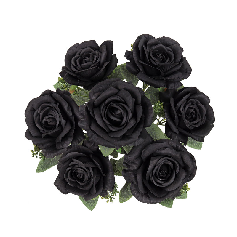 Doux rosier, Black