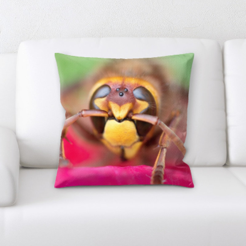 Coussin décoratif little animaux Winn