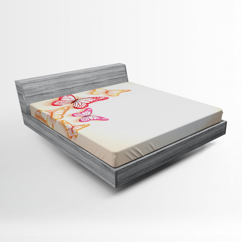 Drap-housse papillon, Drap-housse de taille double